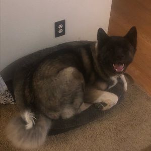 Meet your Posher, Marcos